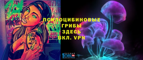 стафф Армянск