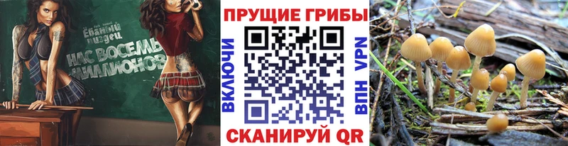 Галлюциногенные грибы мицелий  Кубинка 